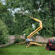  Loogootee, IN Tree Removal Pros